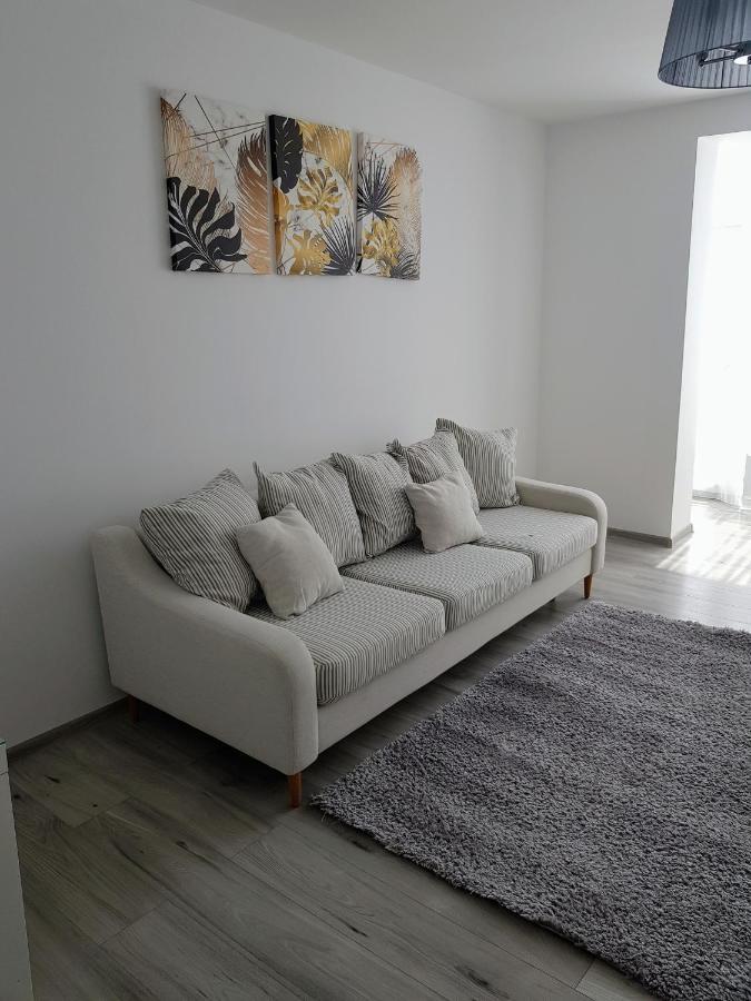 Târgu-Mureş Alexa Apartament מראה חיצוני תמונה