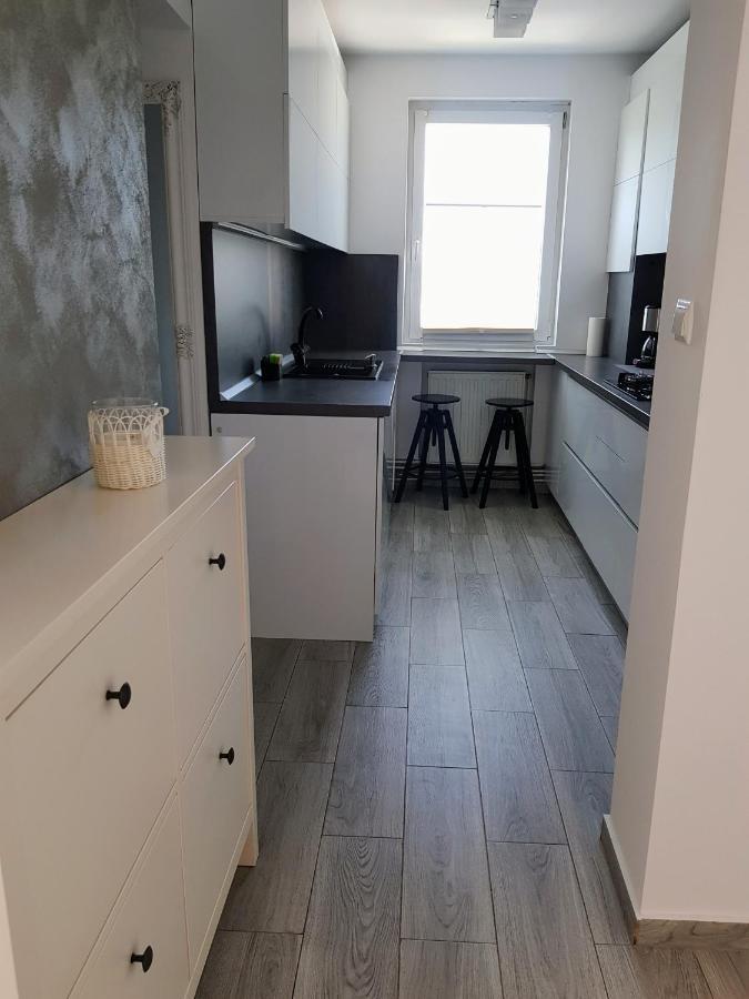 Târgu-Mureş Alexa Apartament מראה חיצוני תמונה