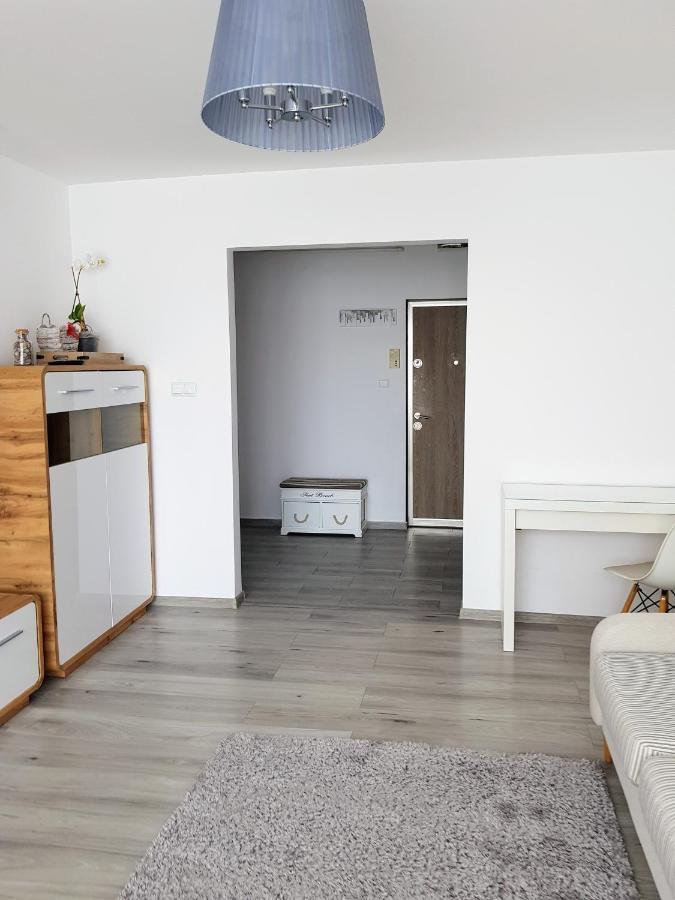 Târgu-Mureş Alexa Apartament מראה חיצוני תמונה