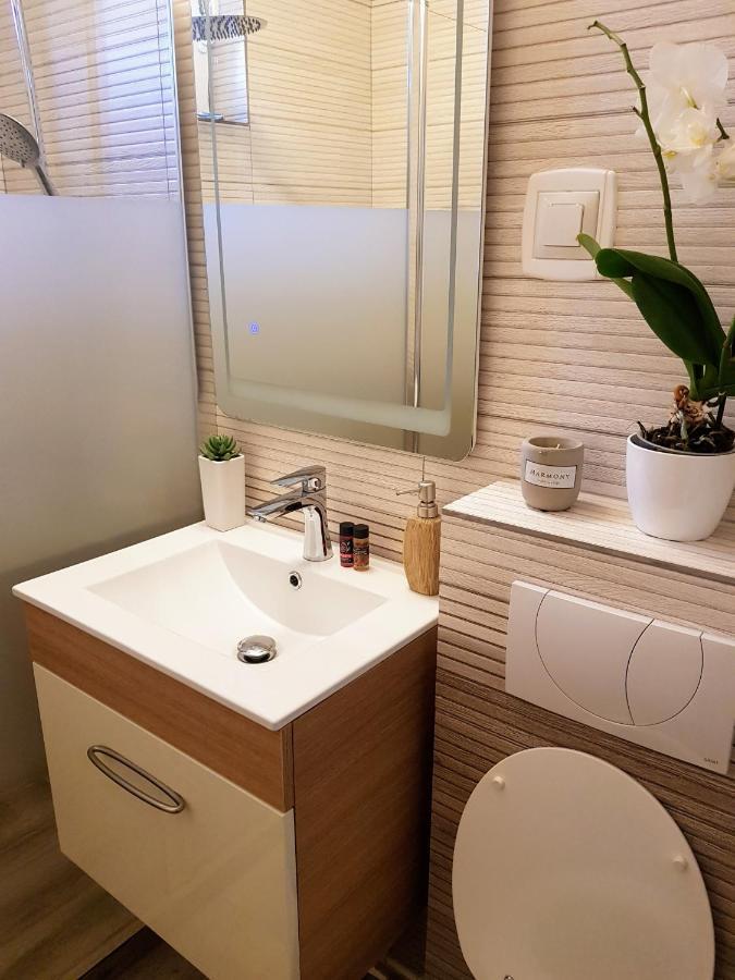 Târgu-Mureş Alexa Apartament מראה חיצוני תמונה